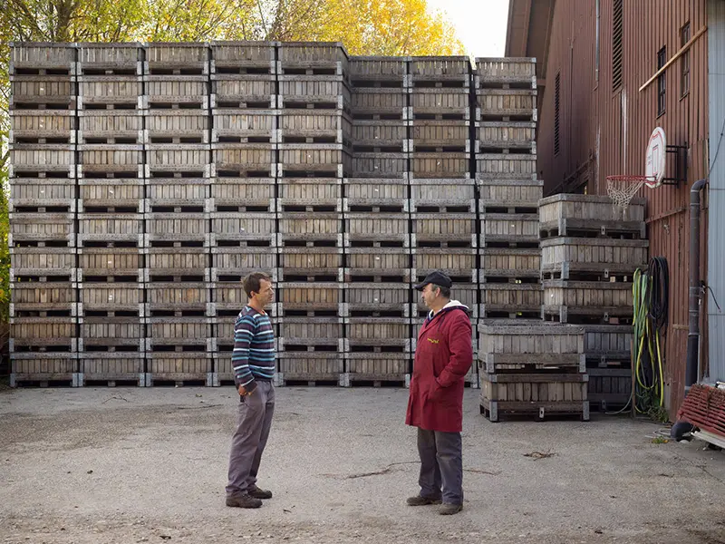 Photo de Matthias Faeh et Fernando devant les récoltes de kiwis entreposés dans des caisses en bois au Domaine de la Pêcherie et la Frésaire à Allaman