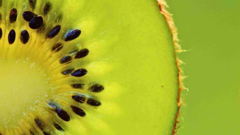 Image d'un kiwi vert coupé en deux pour illustrer tous les bienfaits de ce fruit sur la santé